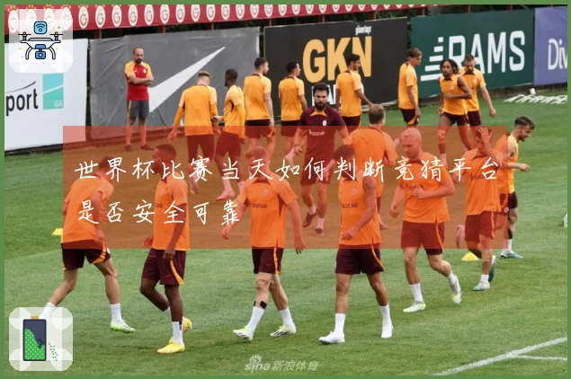 世界杯比赛当天如何判断竞猜平台是否安全可靠
