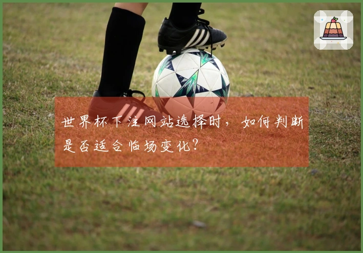 世界杯下注网站选择时，如何判断是否适合临场变化？