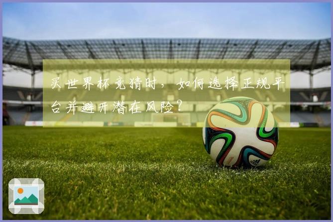 买世界杯竞猜时,如何选择正规平台并避开潜在风险?